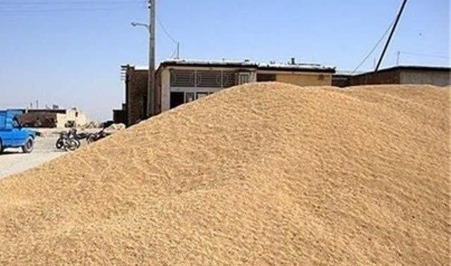 کشف ۱۶ تن مکمل غذایی دام و طیور قاچاق به ارزش ۲ میلیارد ریال در سنقروکلیایی