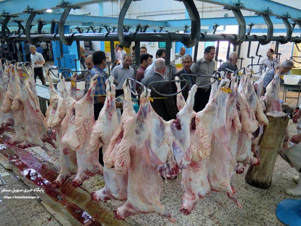 ساعات فعالیت مراکز عرضه بهداشتی دام اعلام شد