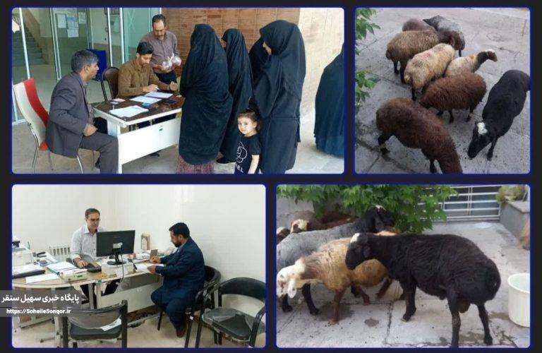 توزیع یک میلیارد و ۸۰۰ میلیون ریال گوشت قربانی بین مددجویان کمیته امداد سنقروکلیایی