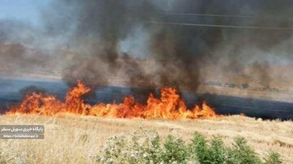 ۲۰ هکتار از اراضی کشاورزان سنقری سوخت