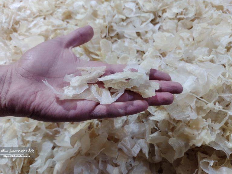 اعلام ممنوعیت بهره برداری کتیرا در سطح شهرستان سنقروکلیایی