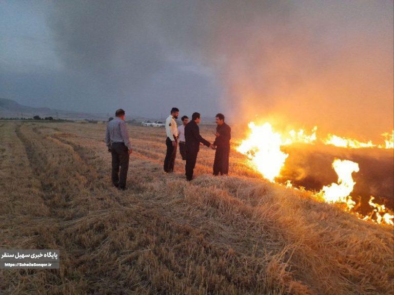 هشدار دادستان سنقروکلیایی نسبت به آتش زدن مزارع/آتشزدن پسچرای مزارع جرم است