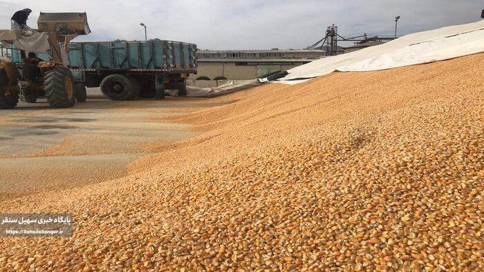 کشف بیش از ۲ تن خوراک دام قاچاق در سنقروکلیایی