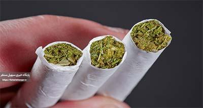 کشف ۱۰ کیلوگرم مواد مخدر گل در سنقروکلیایی