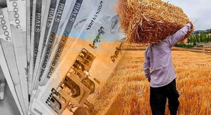 مطالبات گندمکاران کرمانشاهی کامل پرداخت شد