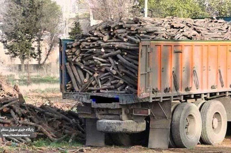 توقیف کامیون حامل ۱۳ تن چوب قاچاق در سنقروکلیایی