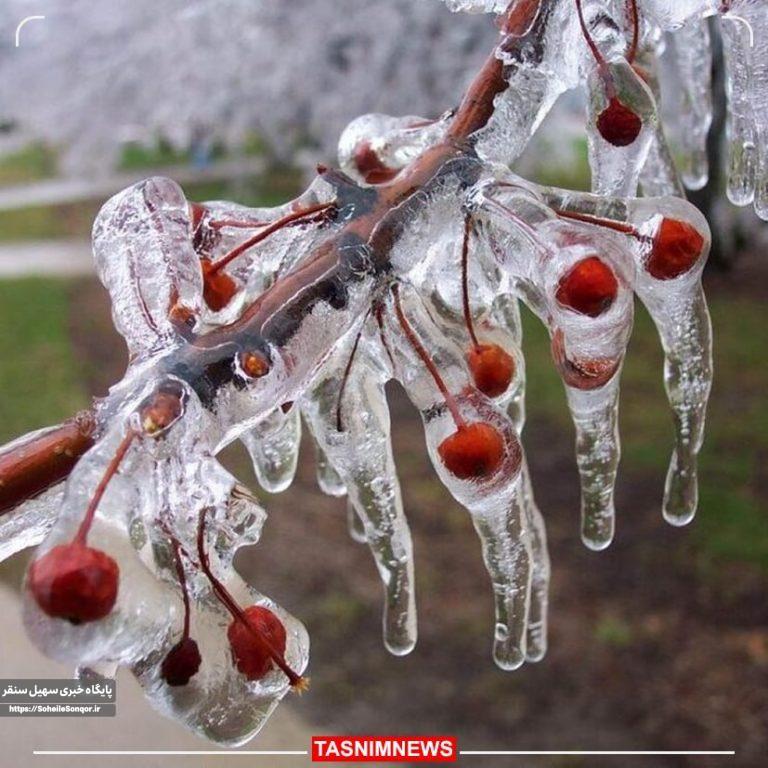 هشدار نارنجی هواشناسی؛۲۲ استان تحت تاثیر توده هوای سرد