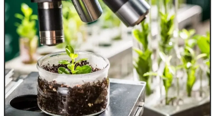 همایش بذر کرمانشاه نقطه عطفی در کشاورزی