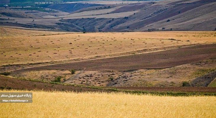 رتبه نخست کرمانشاه در طرح جهش تولید