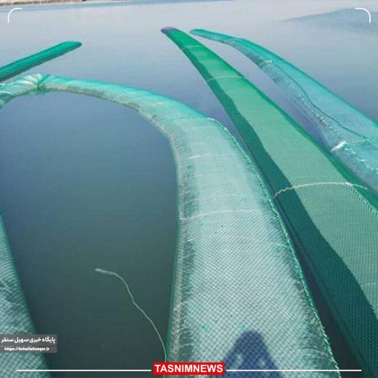 کشف ۶۶۰ هزار لیتر سوخت قاچاق در خلیج فارس