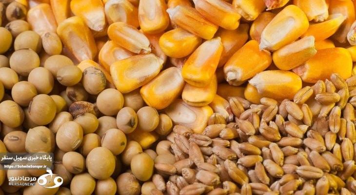 تأمین پایدار نهادههای دامی در کرمانشاه