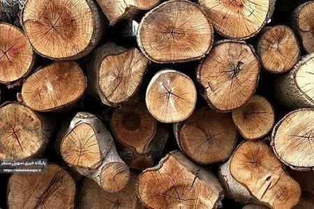 کشف ۱۰ تن چوب قاچاق در سنقروکلیایی