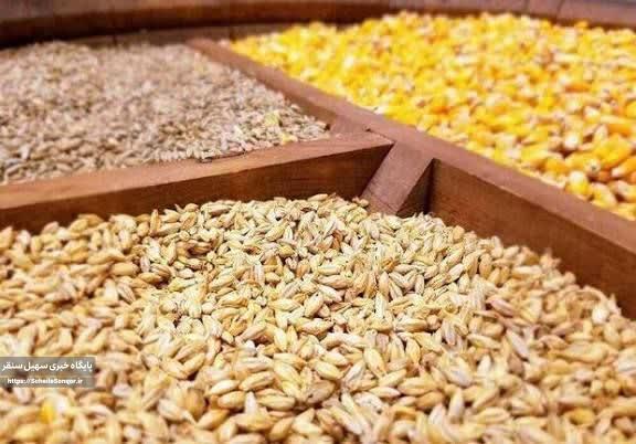 کشف پنج تن نهادههای دامی قاچاق در شهرستان سنقروکلیایی