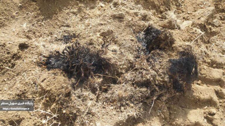 تصرف اراضی ملی در روستای بشیرآباد سنقر