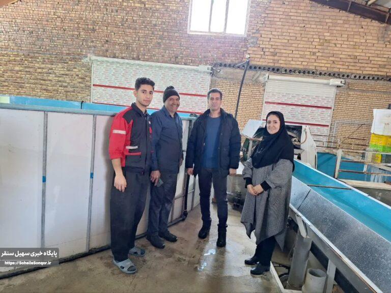 تلاش برای تسهیل فعالیت مرکز پرورش ماهی سردآبی در سنقروکلیایی