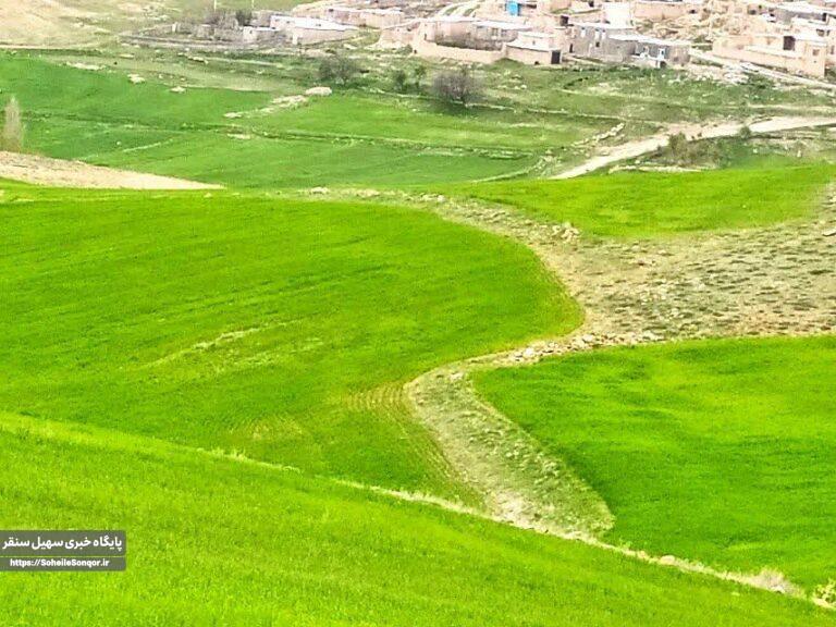 شناسایی تصرف و تخریب اراضی ملی در روستای سایهکر علیا شهرستان سنقروکلیایی