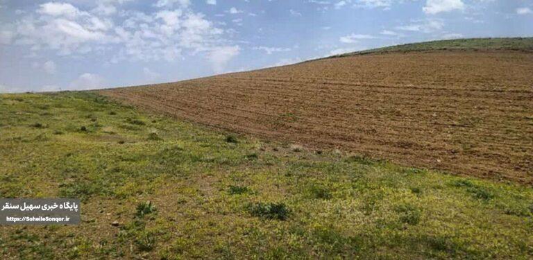 تصرف و تخریب اراضی ملی در روستاهای زیوه و قرهتپه شهرستان سنقروکلیایی