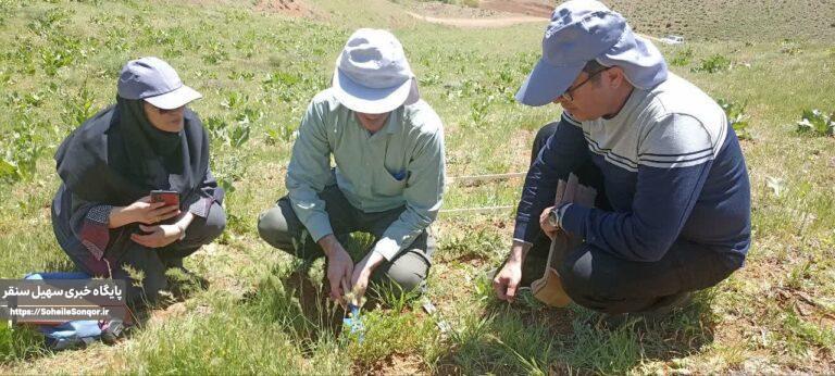 ارزیابی میدانی طرحهای نوین و مشارکتی برای نجات مراتع