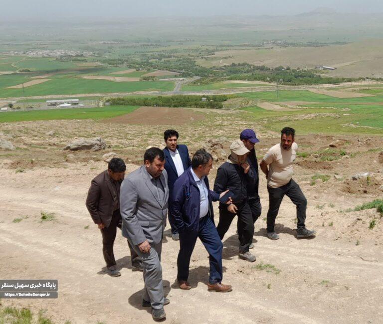 بازدید از پروژه جنگلکاری اقتصادی در تازهآباد سراب سنقروکلیایی