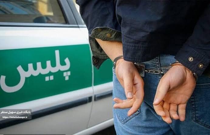 سارق حرفهای کابل برق در سنقر و کلیایی دستگیر شد