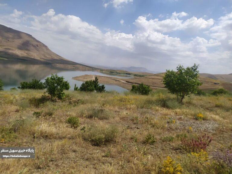 شناسایی تصرف اراضی ملی در روستای خیاران سنقر