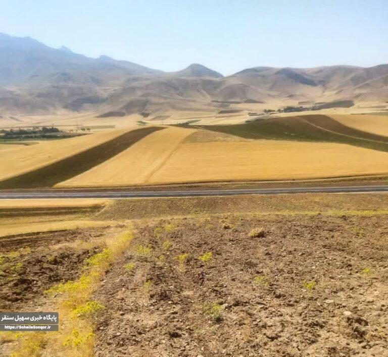 تصرف و تخریب اراضی ملی در روستای عباس آباد شهرستان سنقروکلیایی