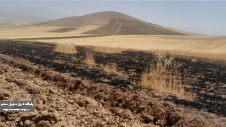 مهار آتشسوزی در مزرعه گندم روستای چنگره سنقروکلیایی