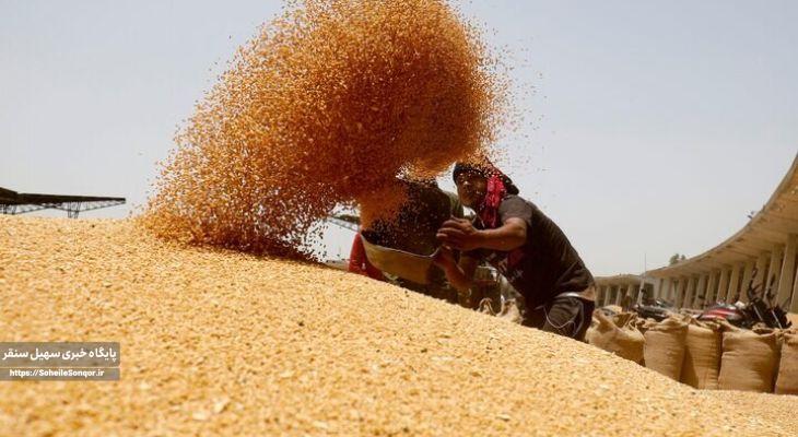 پیشبینی خرید ۶۵۰ هزار تن گندم در کرمانشاه
